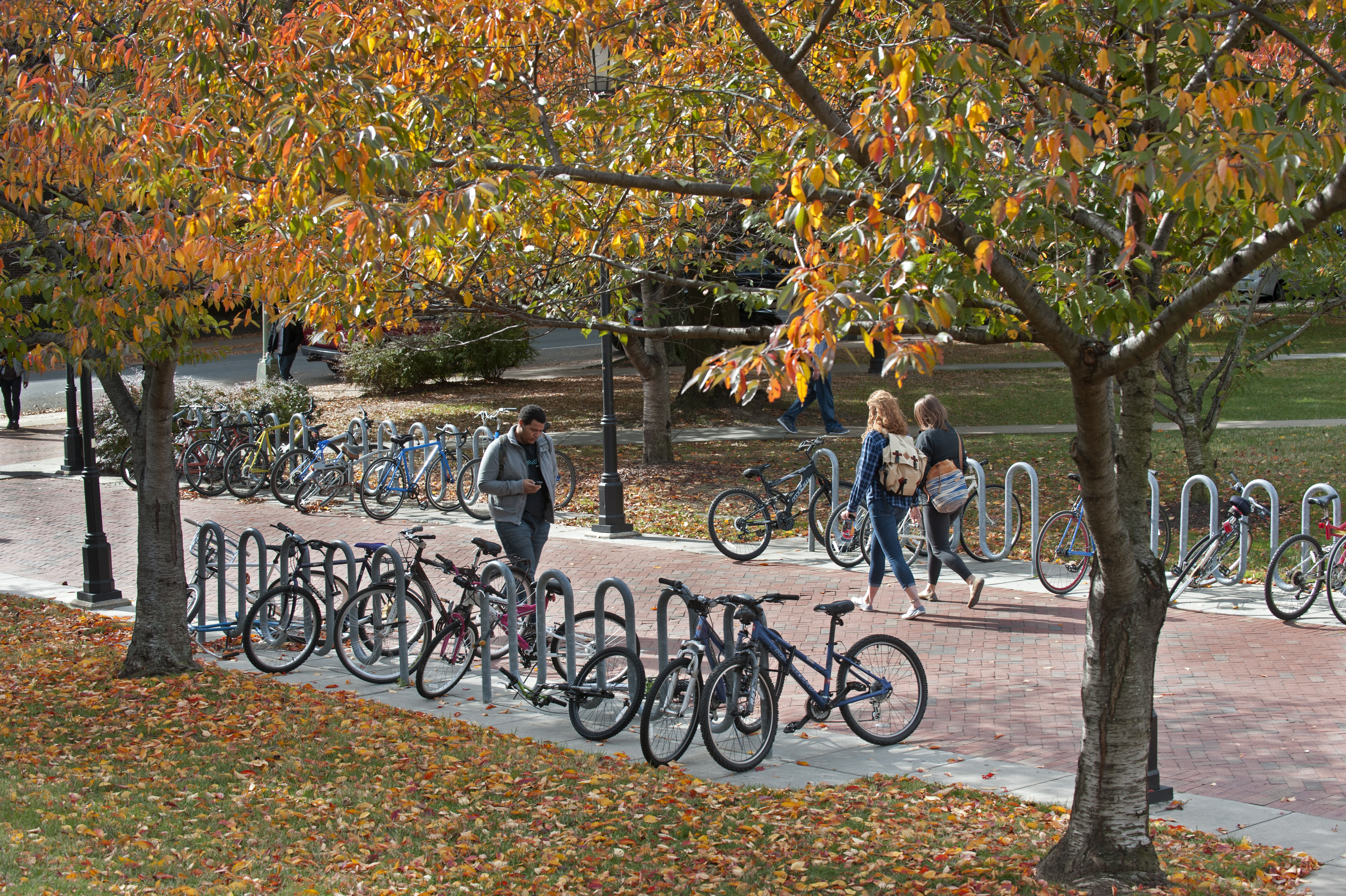 Students pass by a multitude of bikes parked on the Monroe Park campus.